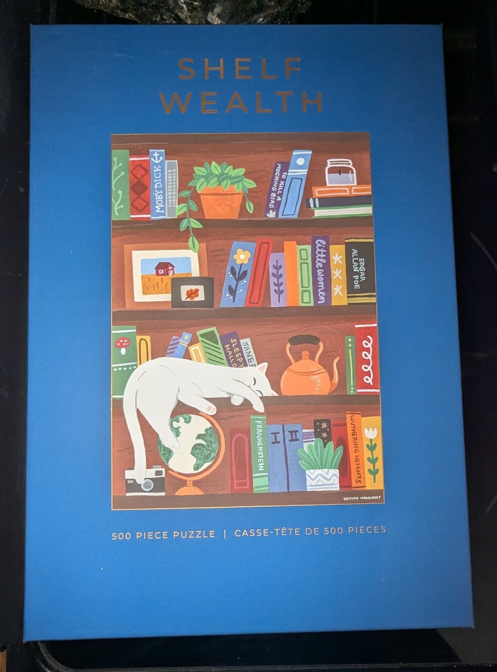 NEW - 500 PIECE HOBBRY PUZZLE - SHELF WEALTH